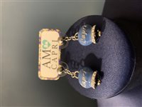 Orecchini AmoCapri Donna in Acciaio Cubic Zirconia 3110087